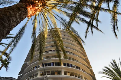 DSC_6949 (Large).JPG